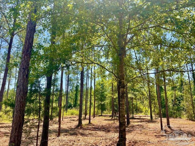LOT 87 Pine Preserve Ln, Pace, FL 32571