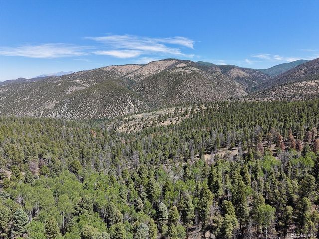 6031 Bruce Road, Fort Garland, CO 81133