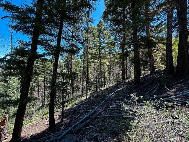 6031 Bruce Road, Fort Garland, CO 81133