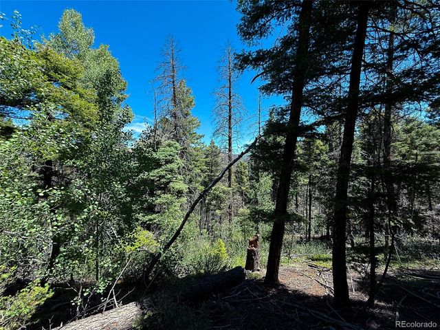 6031 Bruce Road, Fort Garland, CO 81133