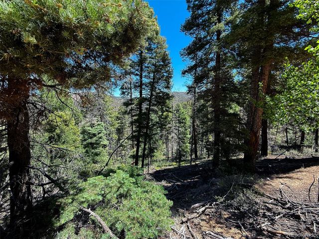 6031 Bruce Road, Fort Garland, CO 81133