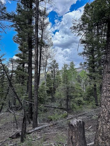 6031 Bruce Road, Fort Garland, CO 81133