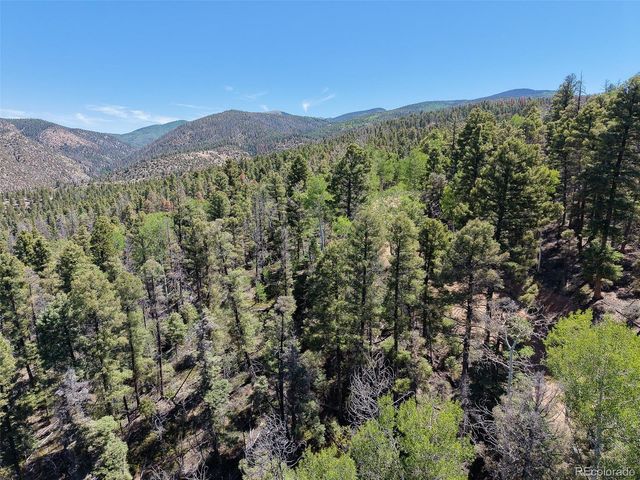 6031 Bruce Road, Fort Garland, CO 81133