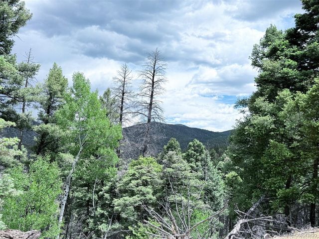 6031 Bruce Road, Fort Garland, CO 81133