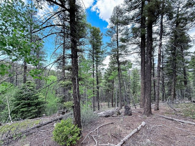 6031 Bruce Road, Fort Garland, CO 81133