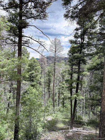 6031 Bruce Road, Fort Garland, CO 81133