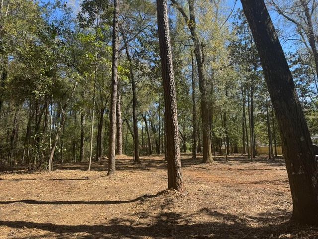 0 Klein Street, Walterboro, SC 29488