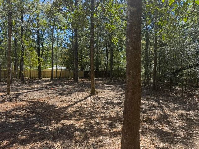 0 Klein Street, Walterboro, SC 29488
