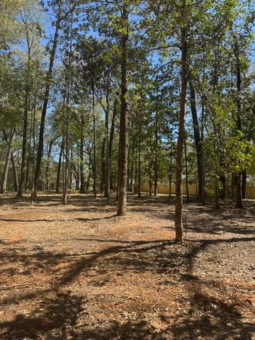 0 Klein Street, Walterboro, SC 29488
