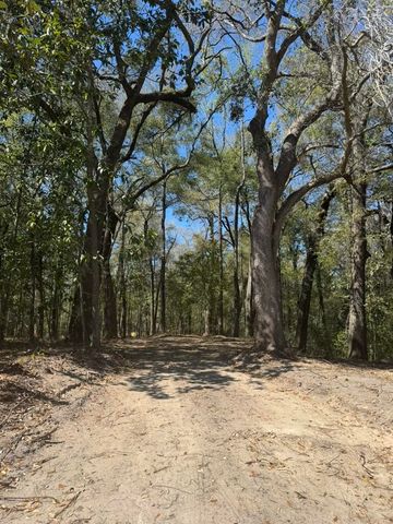 0 Klein Street, Walterboro, SC 29488