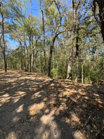 0 Klein Street, Walterboro, SC 29488