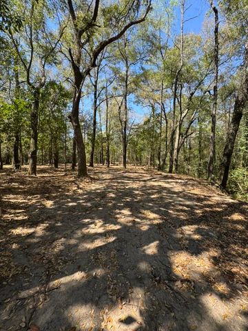 0 Klein Street, Walterboro, SC 29488