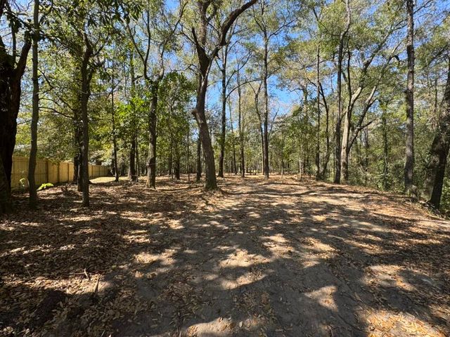 0 Klein Street, Walterboro, SC 29488