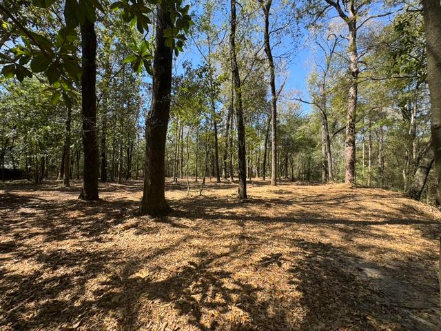 0 Klein Street, Walterboro, SC 29488