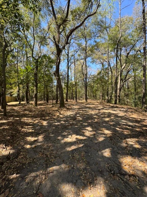 0 Klein Street, Walterboro, SC 29488