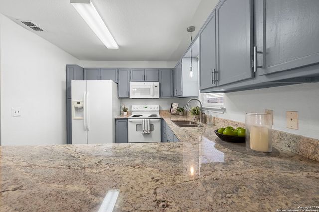 121 S Plant Ave Apt 102, Boerne, TX 78006