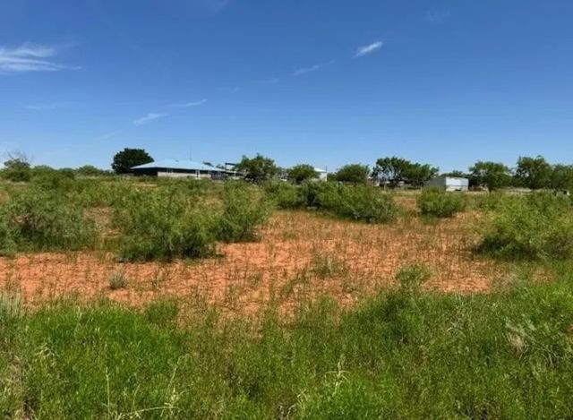 372 County Road 107, Roby, TX 79543
