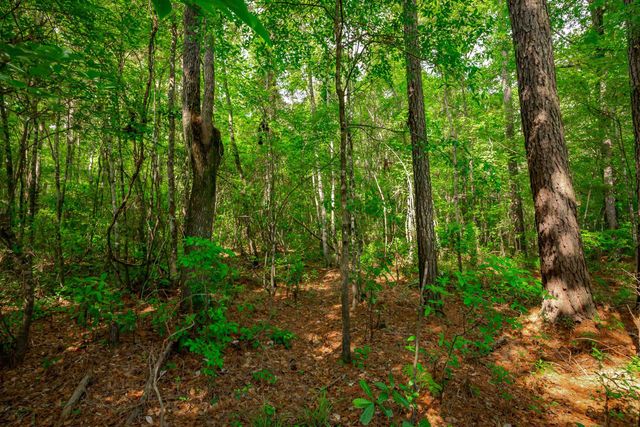 0 Sand Plant Rd., Nichols, SC 29581