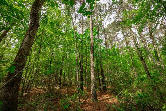 0 Sand Plant Rd., Nichols, SC 29581