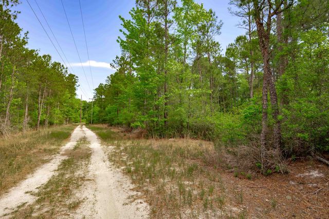 0 Sand Plant Rd., Nichols, SC 29581