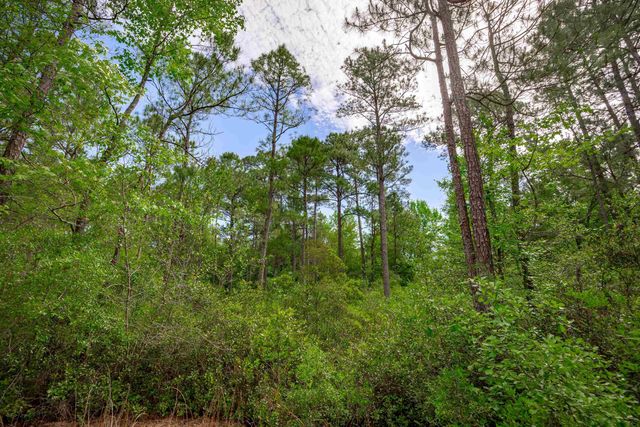 0 Sand Plant Rd., Nichols, SC 29581