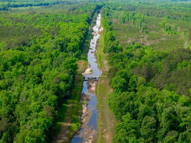 0 Sand Plant Rd., Nichols, SC 29581