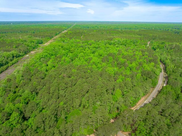 0 Sand Plant Rd., Nichols, SC 29581