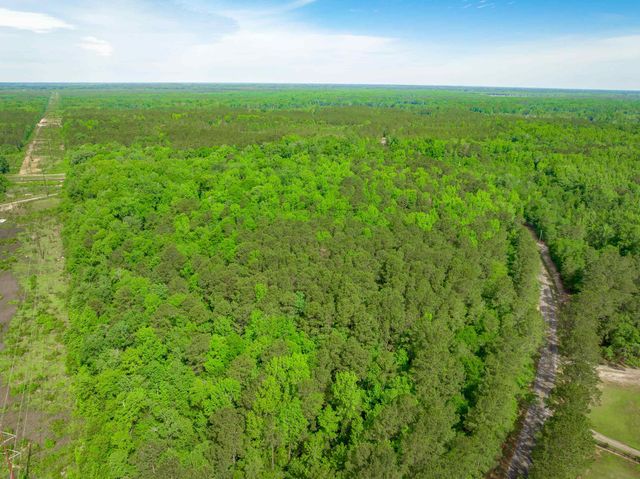 0 Sand Plant Rd., Nichols, SC 29581