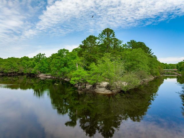 0 Sand Plant Rd., Nichols, SC 29581