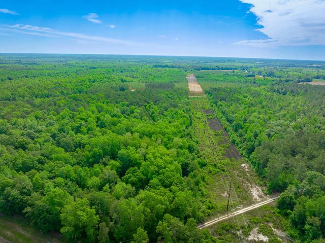 0 Sand Plant Rd., Nichols, SC 29581