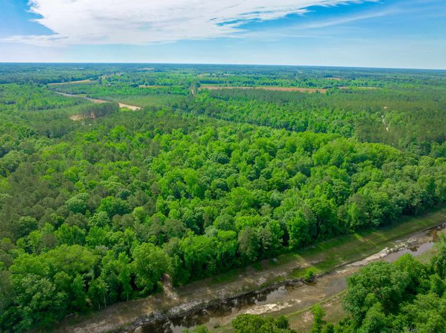 0 Sand Plant Rd., Nichols, SC 29581