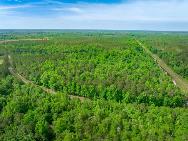 0 Sand Plant Rd., Nichols, SC 29581