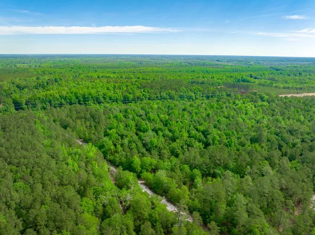 0 Sand Plant Rd., Nichols, SC 29581