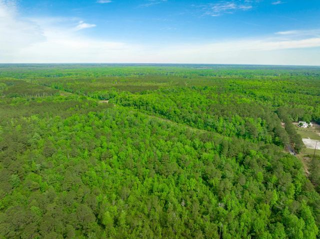 0 Sand Plant Rd., Nichols, SC 29581