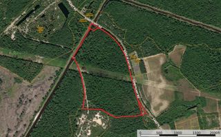 0 Sand Plant Rd., Nichols, SC 29581
