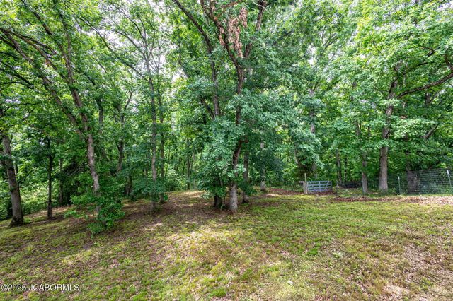 720 E BREEDLOVE DRIVE, Sturgeon, MO 65284