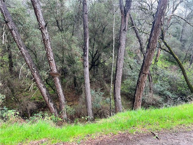 12215 Mountain View Drive, Clearlake Oaks, CA 95423