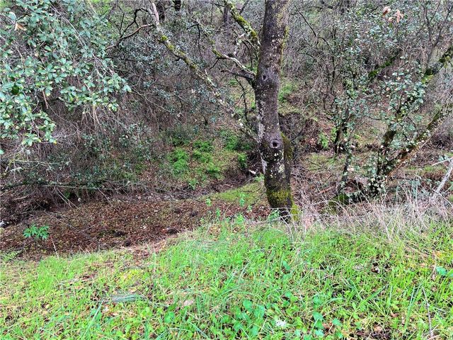 12215 Mountain View Drive, Clearlake Oaks, CA 95423