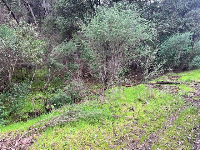 12215 Mountain View Drive, Clearlake Oaks, CA 95423