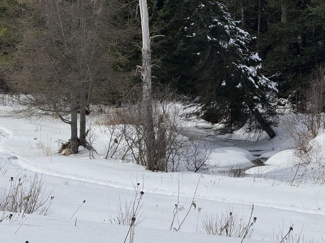4614 Brook Road, Plainfield, VT 05667