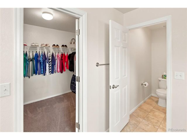 3064 Trailblazer Way, Castle Rock, CO 80109