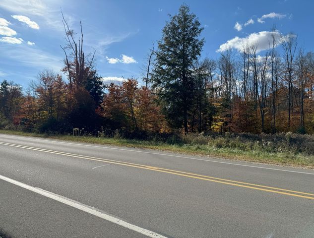 15505 Waldron Way, Big Rapids Twp, MI 49307