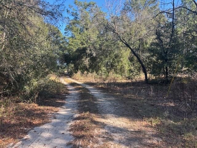 0000 NW 9TH PLACE, Ocala, FL 34482