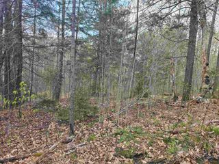 TBD Farrar Road, Chester, VT 05143