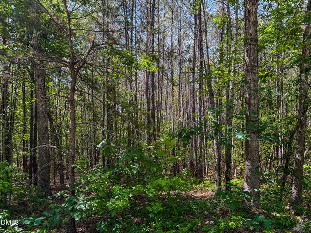 6.68 Ac Orange Grove Road, Hillsborough, NC 27278