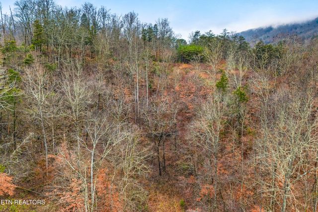 7593 Cracker Neck Rd, Washburn, TN 37888