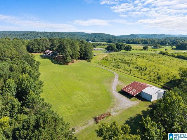 1120 VALLEY ROAD, Oneonta, AL 35121