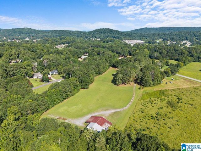 1120 VALLEY ROAD, Oneonta, AL 35121