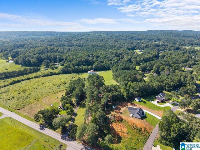 1120 VALLEY ROAD, Oneonta, AL 35121