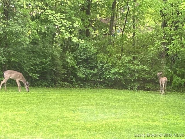 261 Indian Hills Drive NE, Corydon, IN 47112